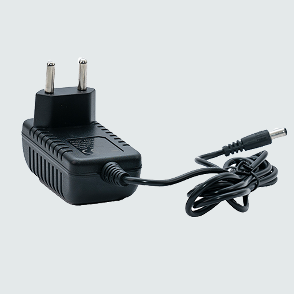 Ride On Toy Charger 6V1A Manufacturer in India